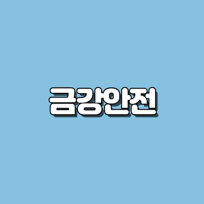 금강안전