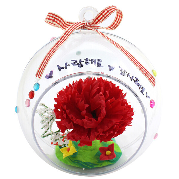 [가정의달 모음전] 카네이션 투명볼