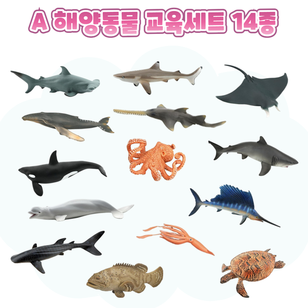 [본사] (사전주문) 키즈보나 실물모형 피규어 교육세트 45종 + 보관함 포함