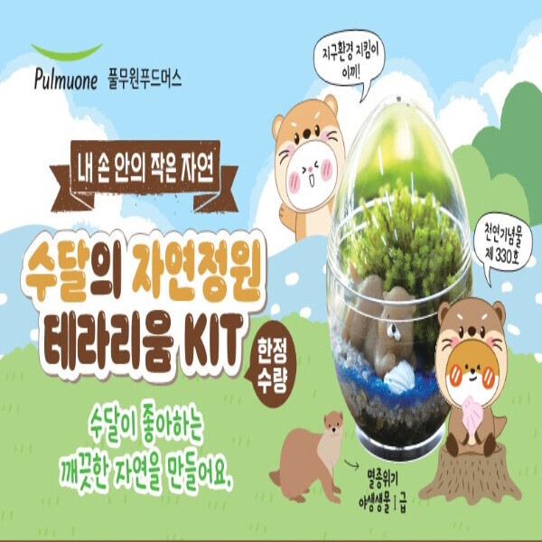 [특판상품] 수달의 자연정원 테라리움 키우기 KIT (8명/세트)