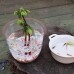 썸네일(스크롤)
