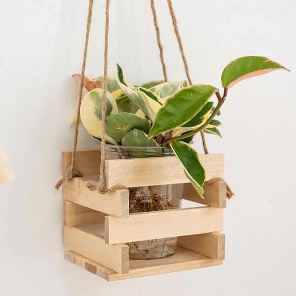 우든웨어초록업사이클링-투명컵활용