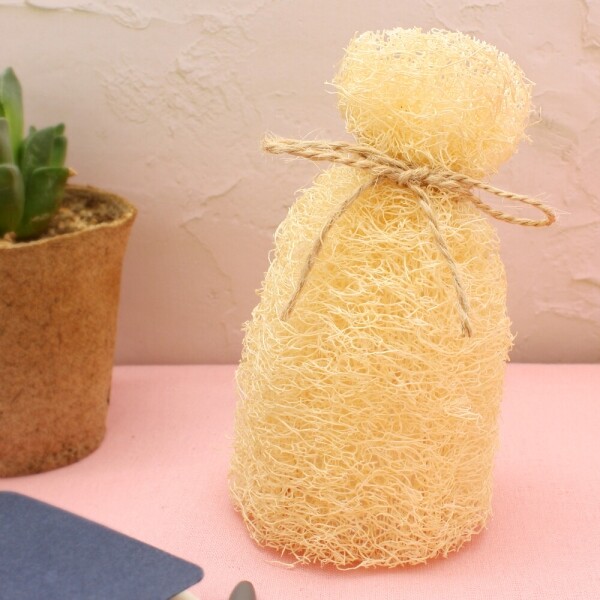 에코키즈 천연 수세미 무드등만들기