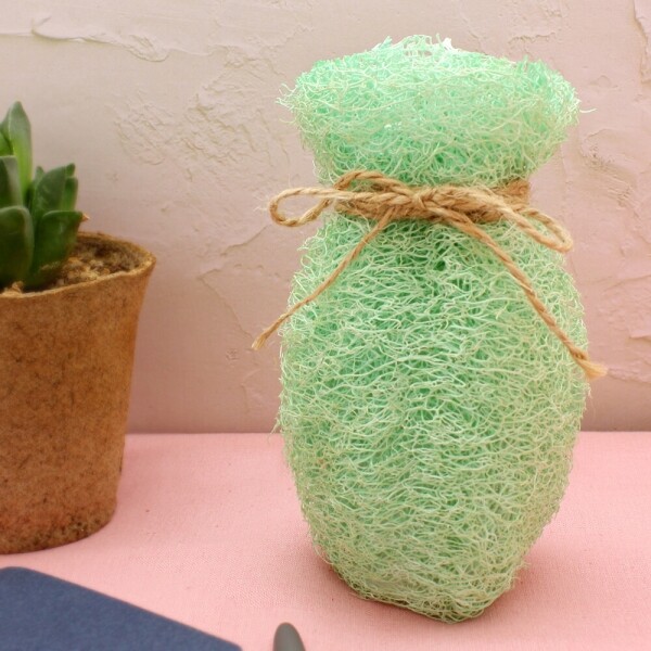 키즈보나,상품명