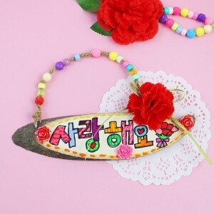카네이션 방문걸이 [DIY 패키지]