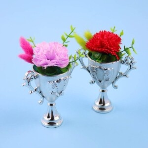 카네이션 문양 트로피 [DIY 패키지]