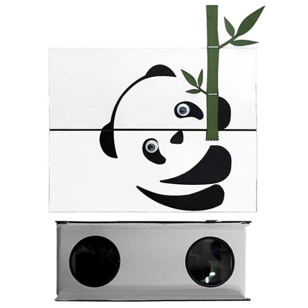 키즈보나,상품명