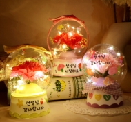[~5.18 행복한 어린이, 교사 기획전] LED 카네이션 스노우볼 5set