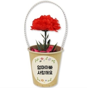 카네이션 화분방향제(5인용)