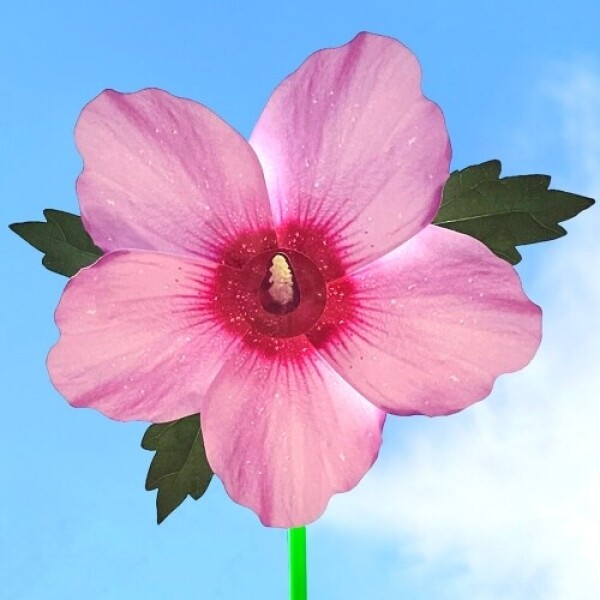 키즈보나,상품명