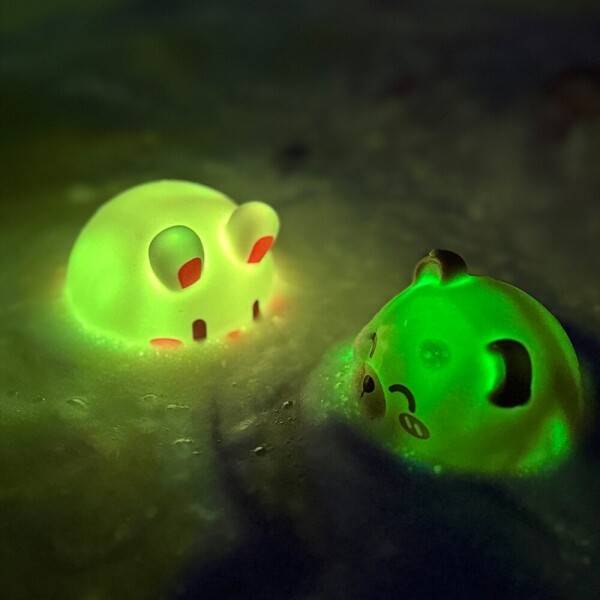 키즈보나,상품명