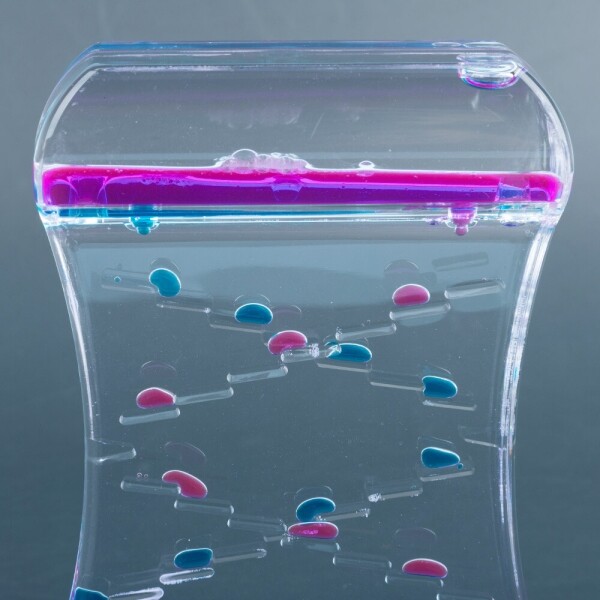 키즈보나,상품명