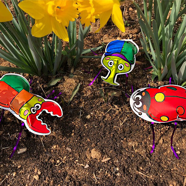 컬러룬 곤충 12입(6종 각2개)