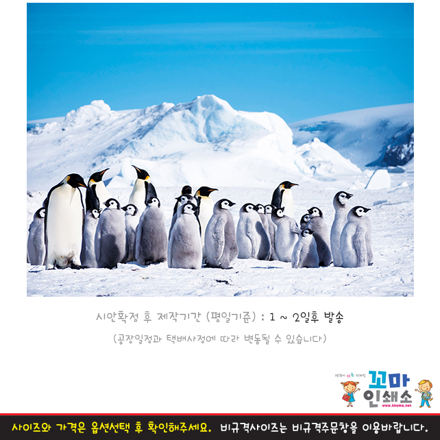 [현수막] 남극북극.3 펭귄